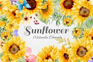Sunflower Watercolor Elements