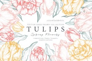 Tulip Flowers Vector Set