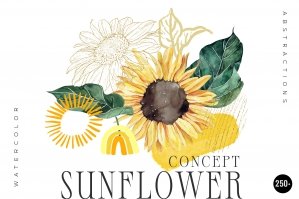 Concept: Sunflower & Abstractions