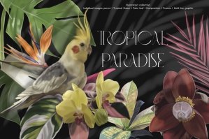 Tropical Paradise Parrots