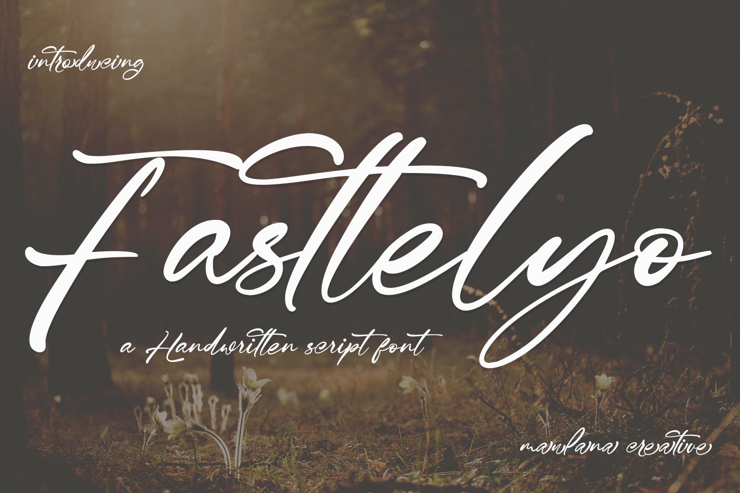 Fasttelyo Signature Script Font - Design Cuts