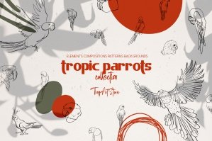 Tropical Parrots Summer Collection