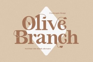 Olive Branch Serif Font