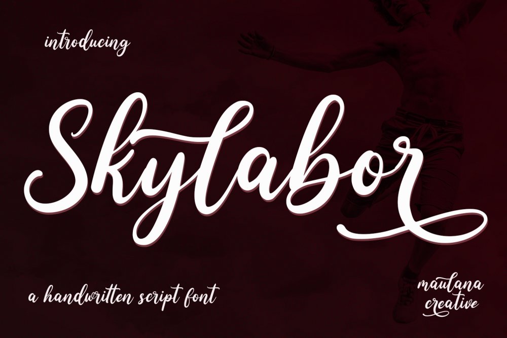 Skylabor Script Font - Design Cuts
