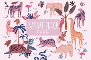 Safari Peach