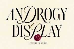 Androgy Display