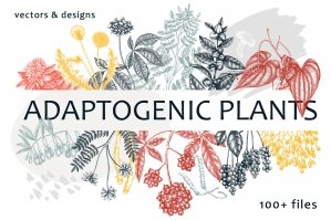 Adaptogenic Plants Vectors & Designs