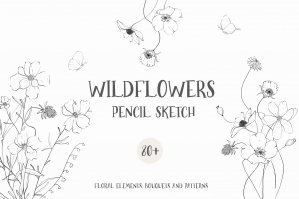 Wildflowers Pencil Line Art Sketch