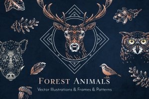 Forest Animals Logo Illustrations
