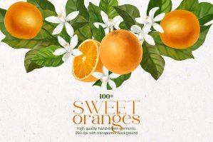 Sweet Oranges Citrus Watercolor Set