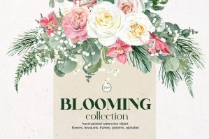 Blooming Flower Collection