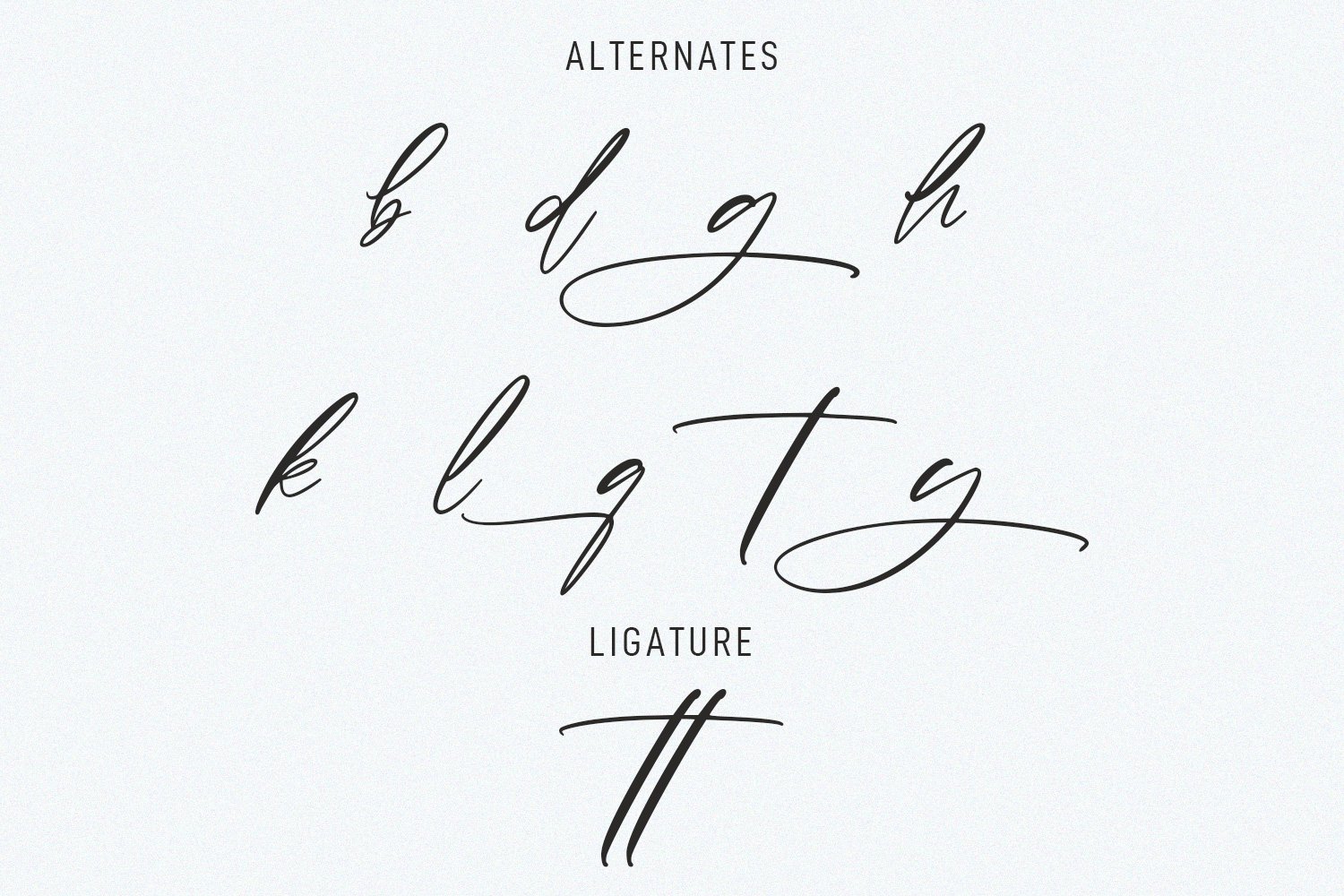 Porgetas Ink Script Font - Design Cuts