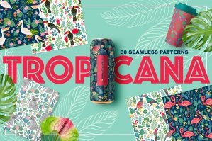 Tropicana 30 Seamless Patterns