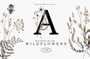 Watercolor Wildflowers Vol 1