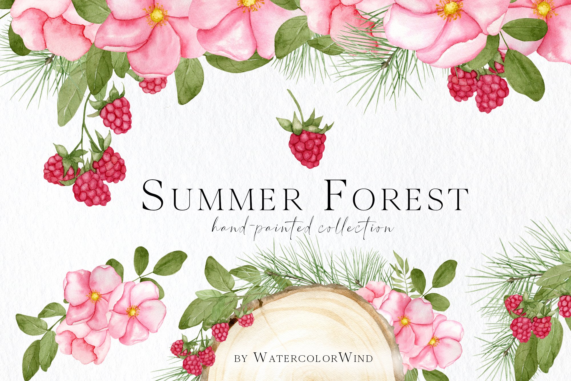 Watercolor Summer Collection, Summer Clip art, Summer graphics, seasonal  images, Summer florals, Watercolor clip art, summer clipart, garden