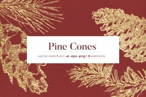 Pine Cones Illustrations And Christmas Cards