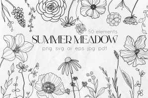 Summer Meadow Wildflowers Line Art