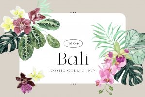 Bali Watercolor Tropical Exotics