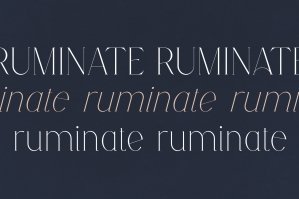Ruminate - Serif Typeface