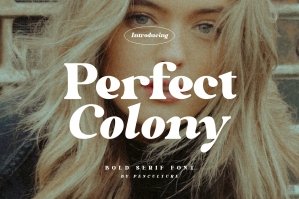 Perfect Colony - Bold Serif Font