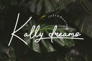 Kally Dreams - Monoline Font