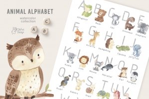 Alphabet Animals Watercolor Clipart