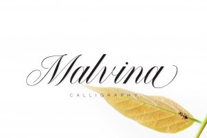 Malvina Wedding Calligraphy