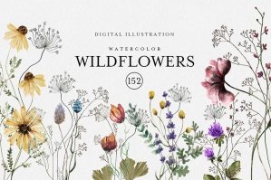 Watercolor Wildflowers Vol 2
