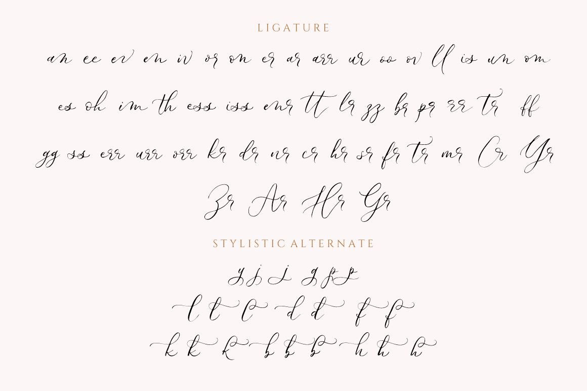 Le Vangeline - Wedding Font - Design Cuts