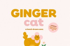 Ginger Cat | Hand-drawn Sans