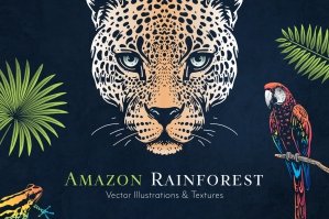 Amazon Rainforest Vector Illustrations Set