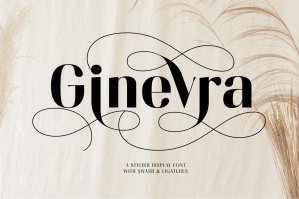 Ginevra - Stylish Display Font
