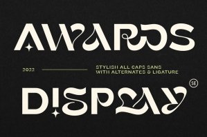 Awards - Stylish Display Sans