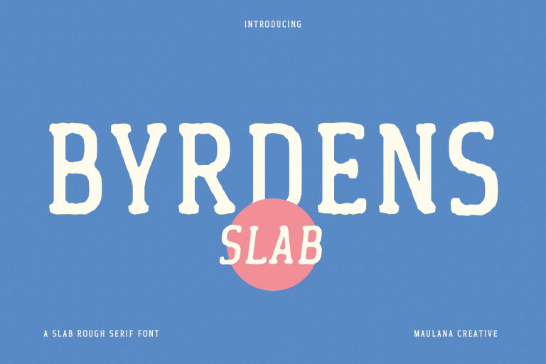 Byrdens Slab Serif Font   Design Cuts