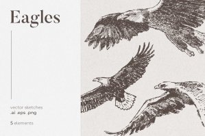 Collection Of Eagles Drawings