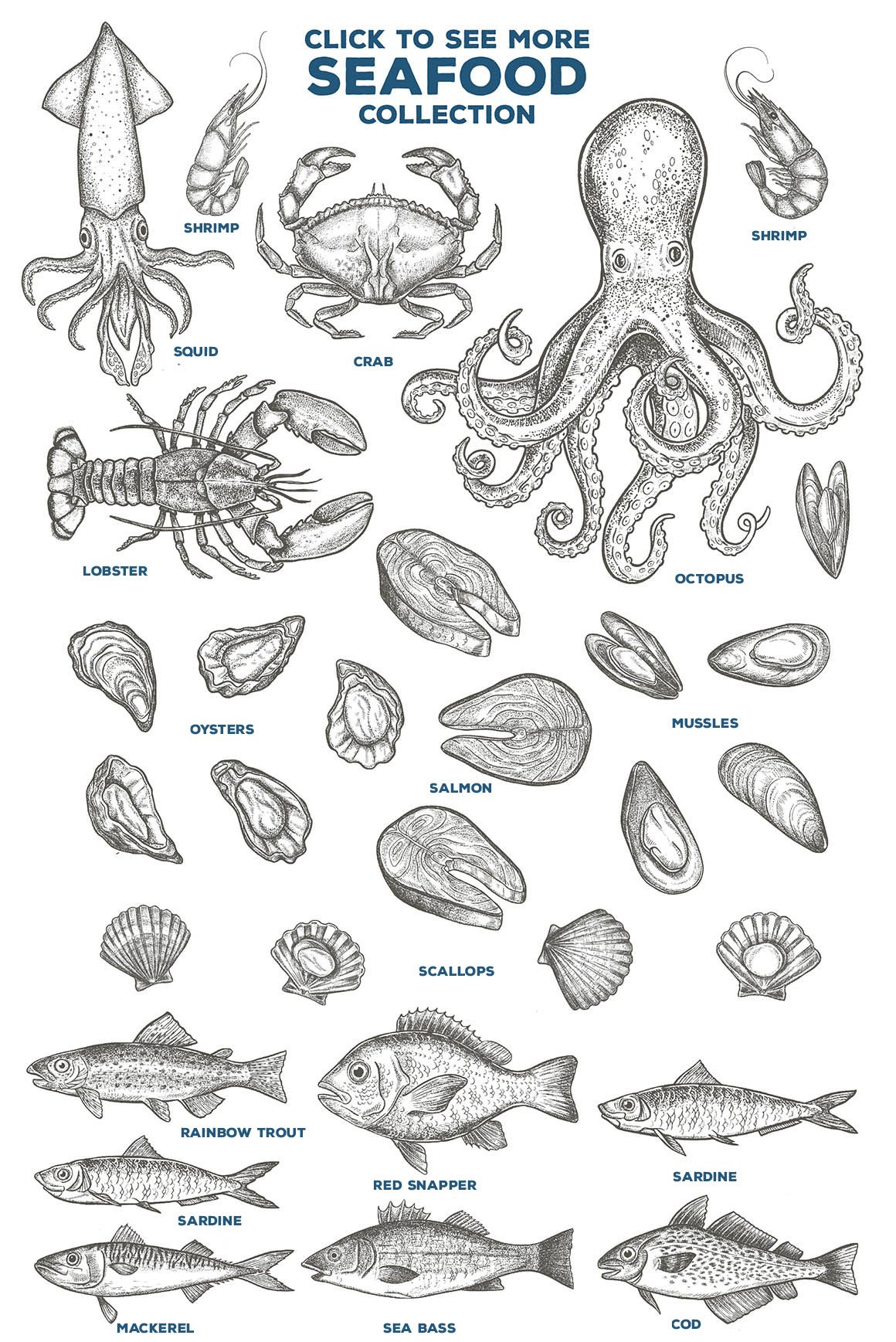 Seafood Illustrations - Design Cuts