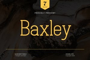 Baxley - Modern Slab Serif