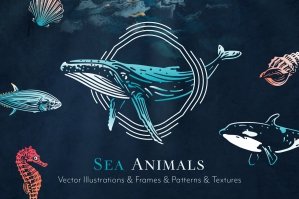 Sea Animals & Extras