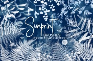 Sunprint Brushes Procreate And Photoshop