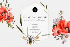 Meadow Mood Watercolor Collection Wildflowers Clipart
