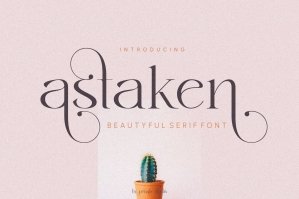 Astaken Beautyful Serif Font