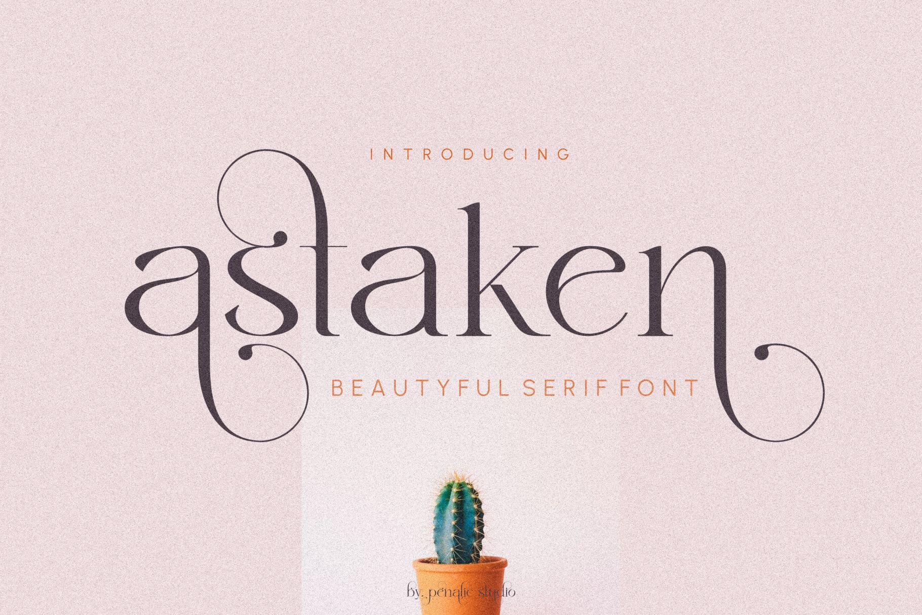 Astaken Beautyful Serif Font - Design Cuts