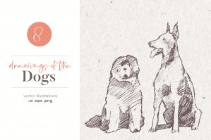 Illustrations Of The Dogs
