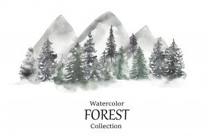 Watercolor Forest Collection