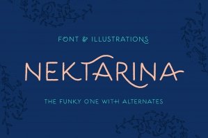 Nektarina Handwritten Font & Extras