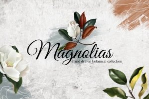 Magnolias Hand Drawn Realistic Botanical Set