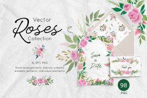 Delicate Rose Flowers Collection