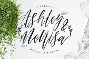 Ashley & Mellisa Modern Calligraphy