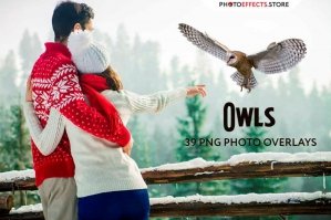 39 Owl Photo Overlays