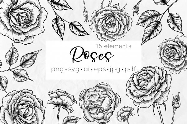 Roses Line Art Vector Flowers - Design Cuts